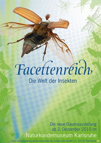 Plakat Facettenreich