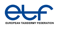 ETF Logo