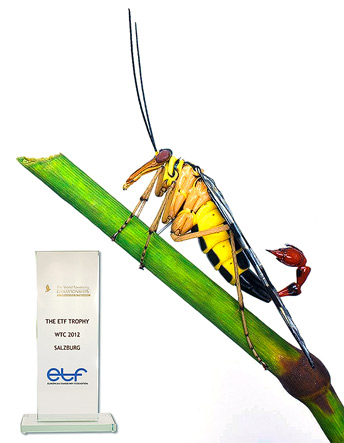 Skorpionsfliege - ETF-Award